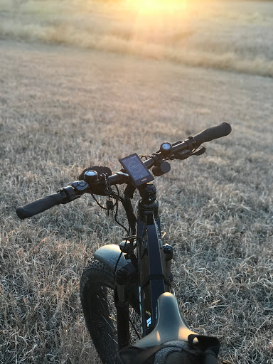 Forte eBikes - Visual