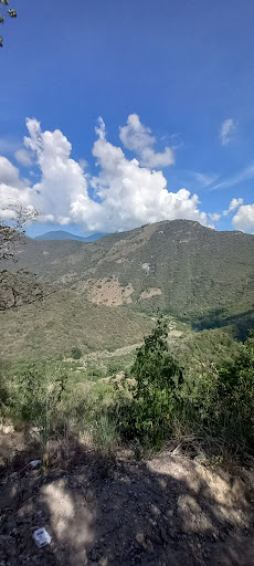 El bado - Visual