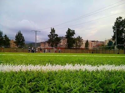 stadium