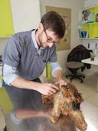 Photo n°15 de Clinique Vétérinaire Atlantic Vet à Niort (Clinique vétérinaire)