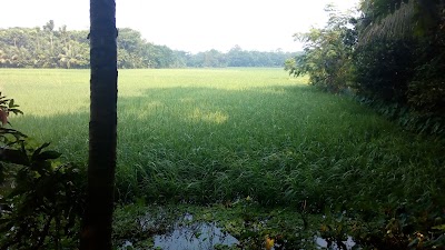 Photos of ডিহিদার বাড়ি মসজিদ