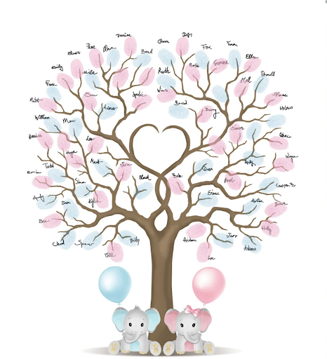 🏛️ Cécile Fauvet Généalogiste Successorale