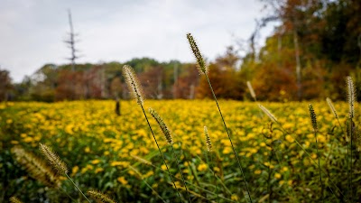 Tallahatchie National Wildlife Refuge