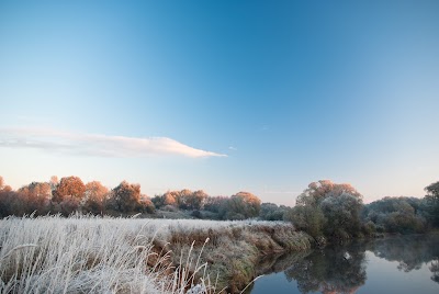 Photos of Nevėžis