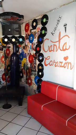 Canta Corazón - Visual
