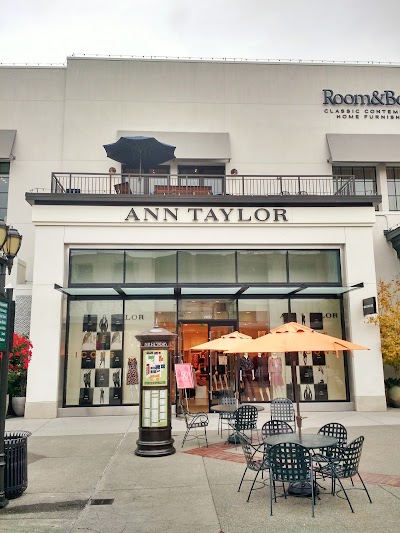 Ann Taylor