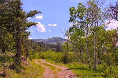 Clearwater Montana Properties, Anaconda