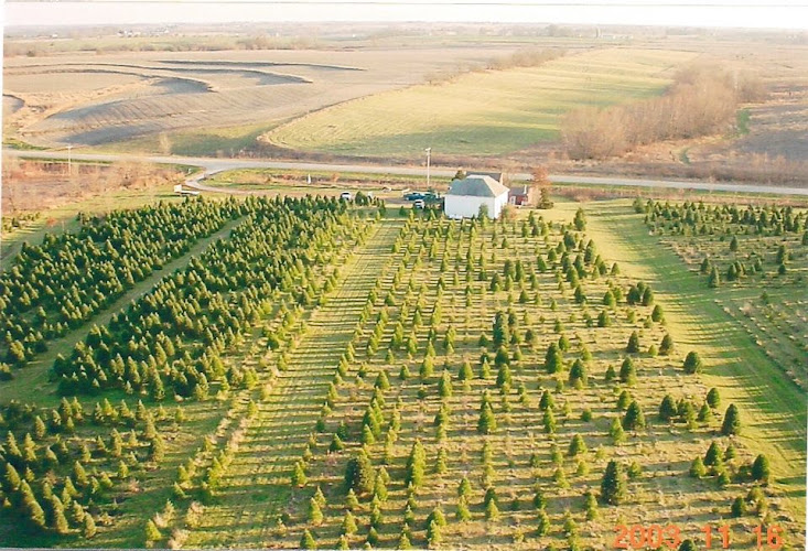Hunter Brothers Tree Farm