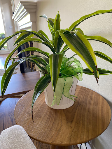 Burlingame LaGuna Florist - Thumbnail