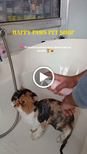 Best grooming services in kashmir we provide pet grooming session like wash Trimming nail trim Ea… post image