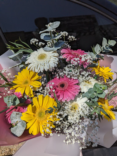 Florería Ebenezer - Visual