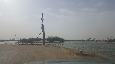Photos of Al Qudra Lakes East
