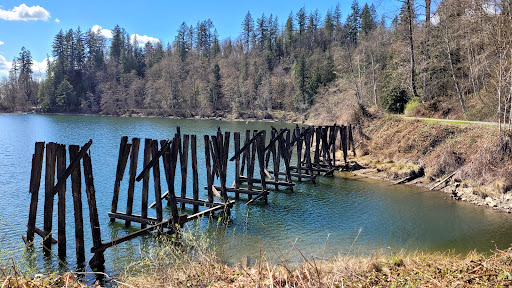 Railway Trail - Thumbnail