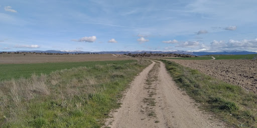 Mata De Quintanar - Thumbnail