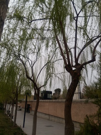 Photos of Garden Palace Museum