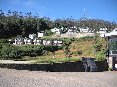 Photos of Misty Hills Cottage