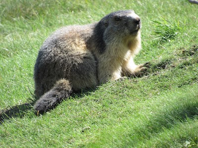 Parc Animalier d