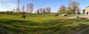 Photo n°1 de EARL Bras de Fer à Civrac-de-Blaye (Pension pour chevaux)