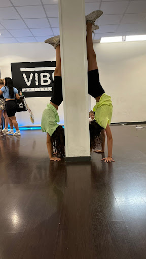 Vibe Art Studio ASD - Thumbnail