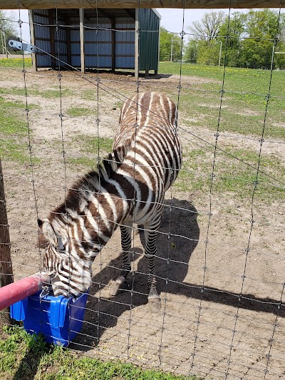 Trowbridge Creek Zoo