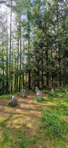 Glassel Stone Circle - Thumbnail