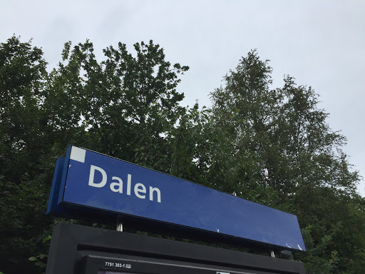 Dalen - Visual