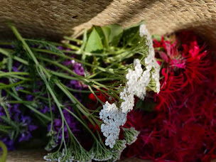 Photo n°2 de La chouette douceur à Arnac-la-Poste (Magasin)