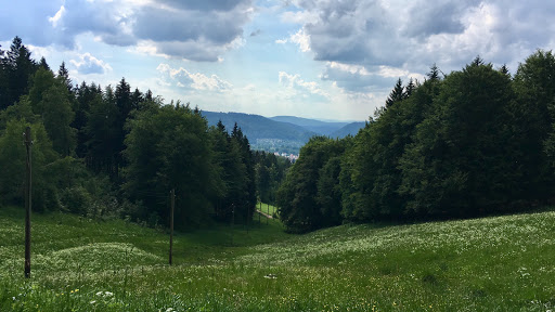 Hütte Schneidersgrund - Thumbnail