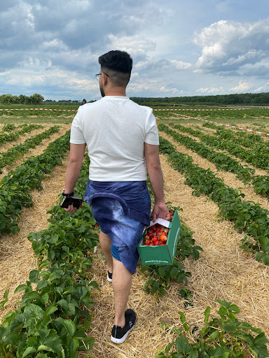 BB Brandenburger Obst GmbH - Thumbnail