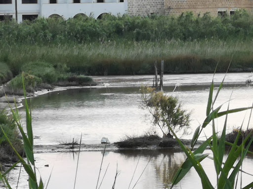 Punto osservazione Saline Marzamemi - Thumbnail