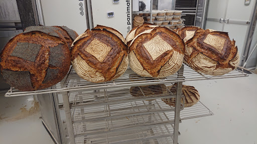 Fleur de Levain - Thumbnail