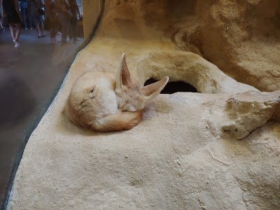 Small Mammal House