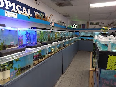 The Love Aquarium