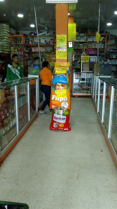 Photos of La Villetana