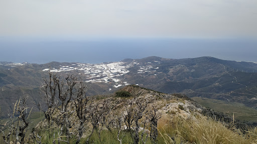 LUJAR E.R - Visual