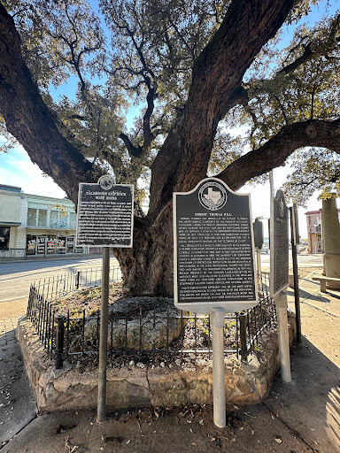 Fleming Oak - Visual