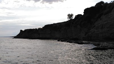 Photos of Museo del Territorio