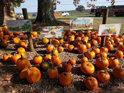 Photos of Coolspring Corn Maze and Farm Market