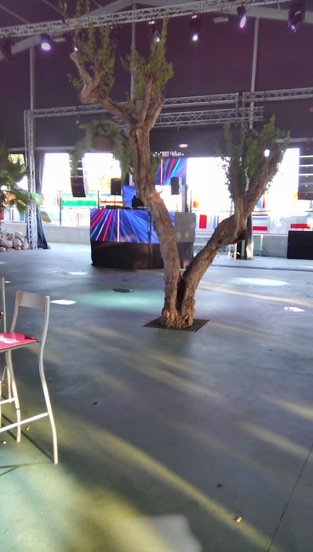 Metro Dance Club