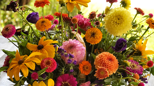 Petal By Petal Gallery - United States