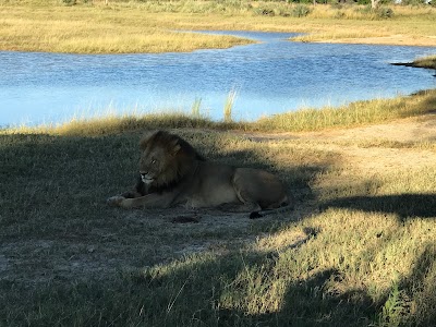Photos of Seba Camp