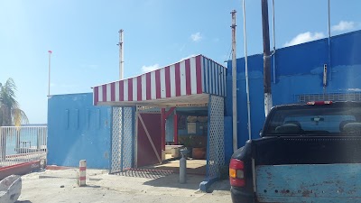 Photos of Dive Wederfoort