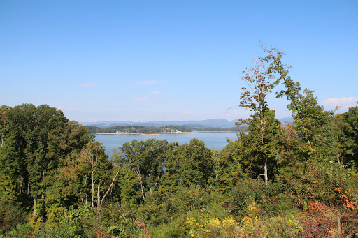 Windswept on Cherokee Lake - Thumbnail