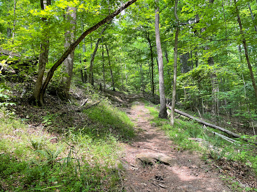 Cooper's Furnace Day Use Area - Thumbnail