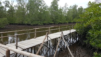 Photos of Mangrove Kuale