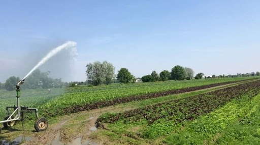 Azienda Agricola Stassi