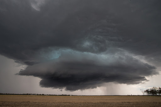 Ampol Pampas - Thumbnail