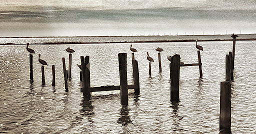 Family Coastal Restaurant Gallery - United States