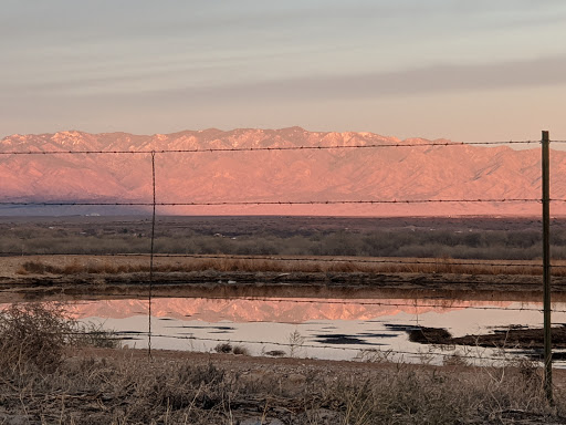 Bosque Dairy Gallery - United States