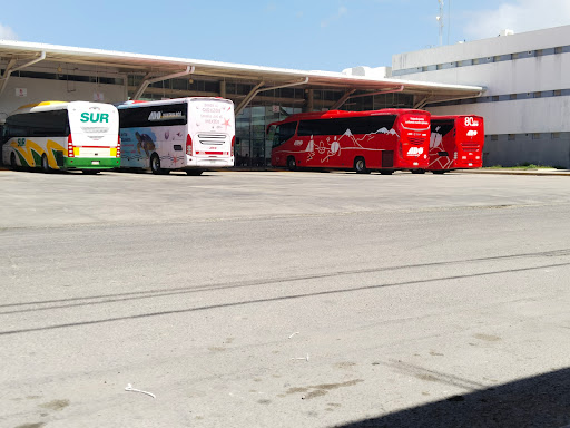 Terminal Principal ADO Chetumal - Thumbnail